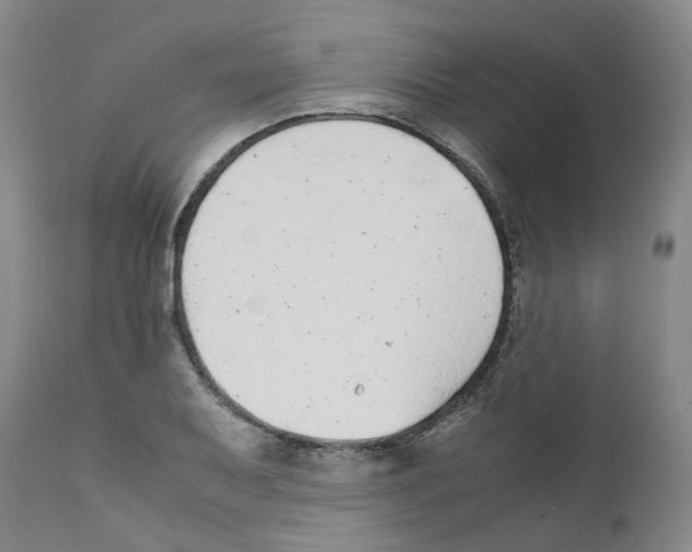 X0000111921079200908241045