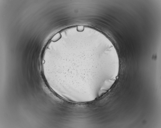 X0000111921080200908241045