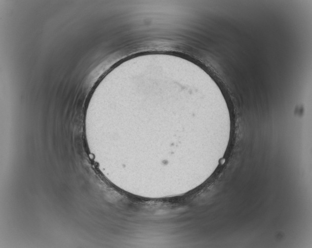 X0000111921081200908241045