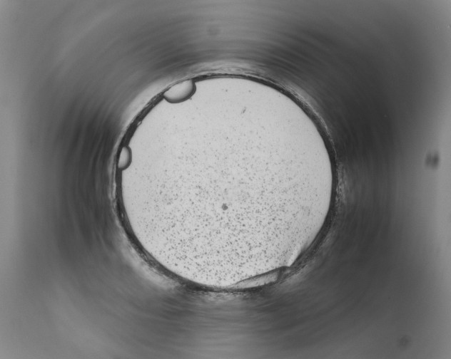 X0000111921082200908241045