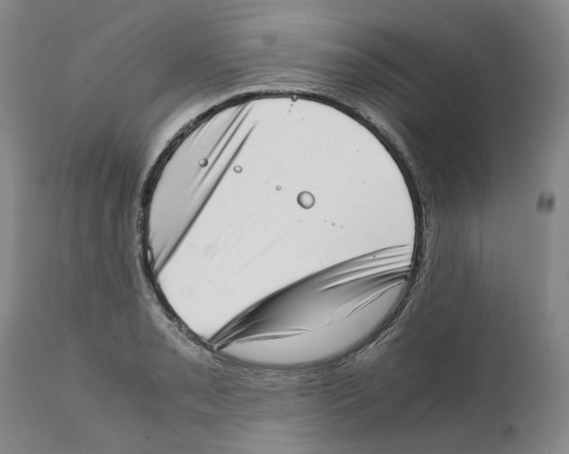 X0000111921085200908241045