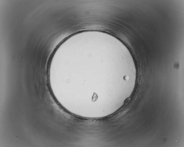 X0000111921087200908241045