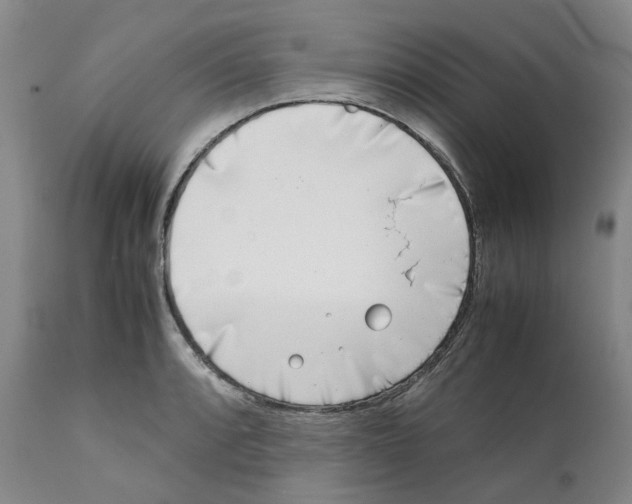 X0000111921088200908241045