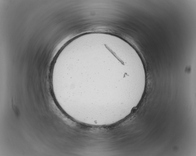 X0000111921091200908241045