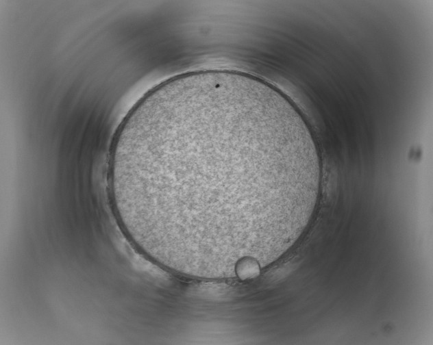 X0000111921094200908241045