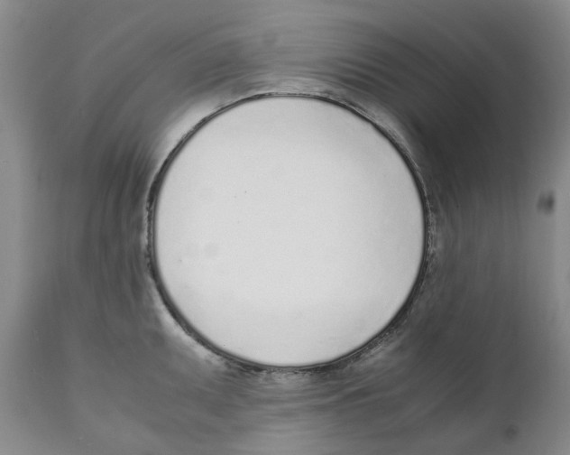 X0000111921095200908241045