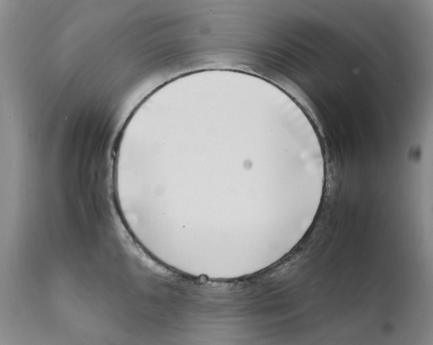 X0000111921096200908241045