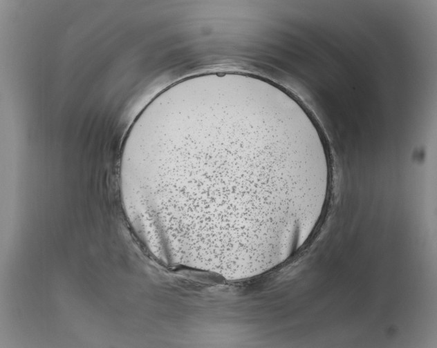 X0000111921097200908241045