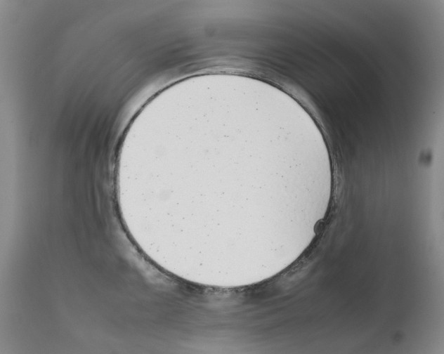 X0000111921099200908241045