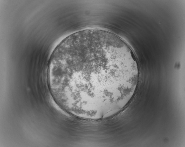 X0000111921100200908241044