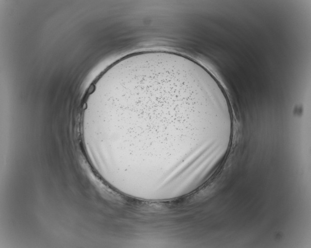 X0000111921101200908241044