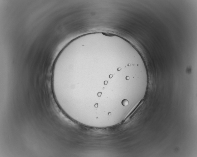 X0000111921102200908241044