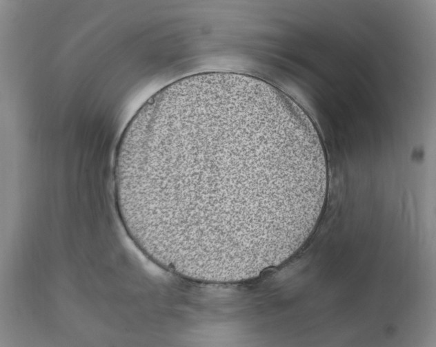 X0000111921103200908241044