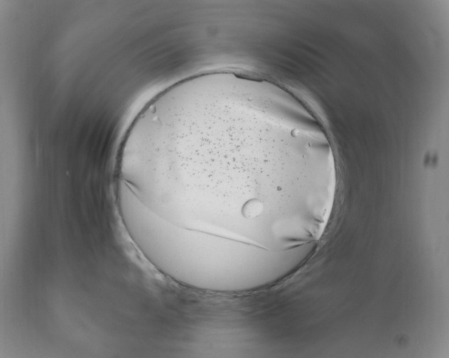 X0000111921104200908241044