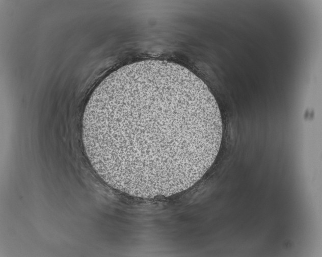 X0000111921105200908241044