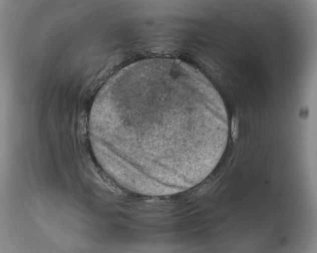 X0000111921107200908241044