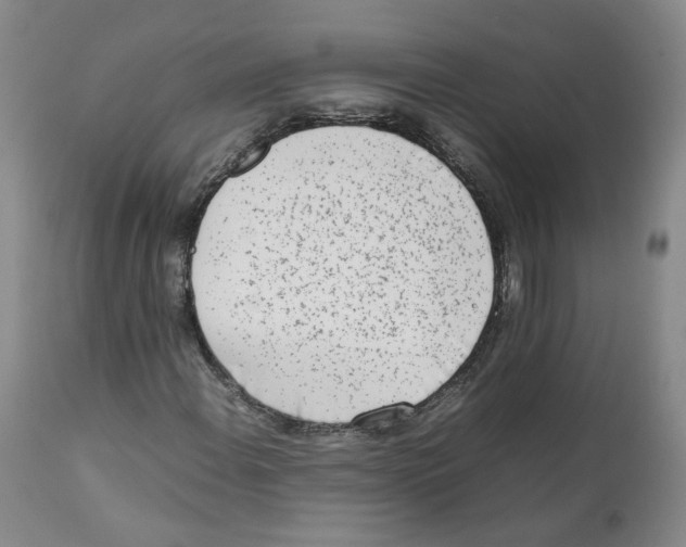 X0000111921108200908241044