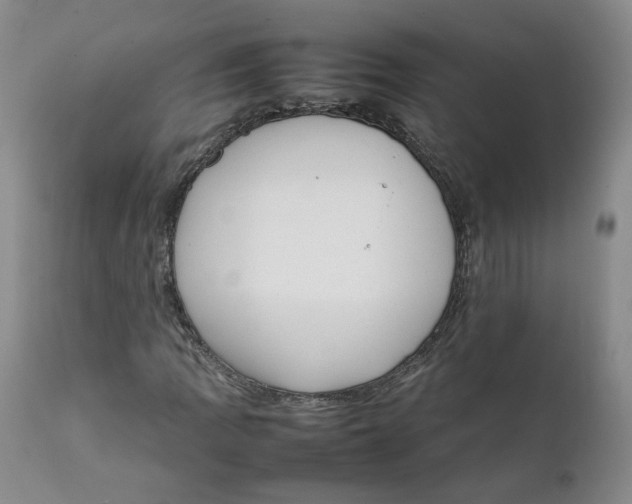 X0000111921109200908241044