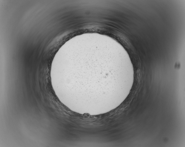 X0000111921111200908241044