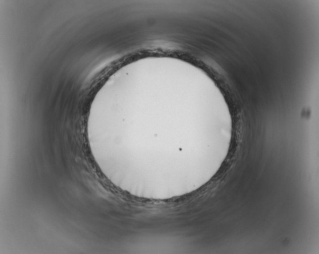 X0000111921112200908241044