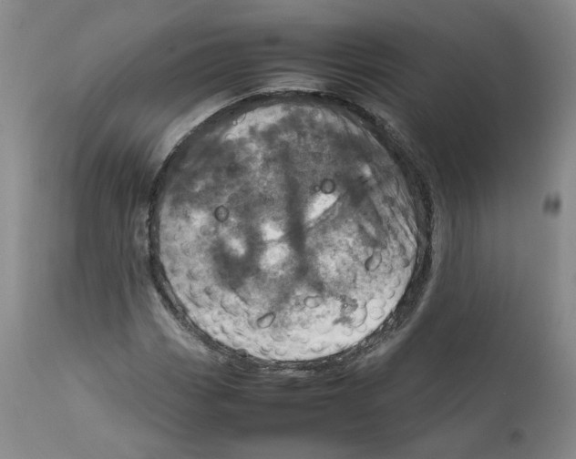 X0000111921113200908241044