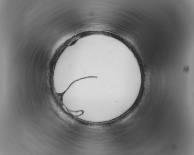 X0000111921114200908241044