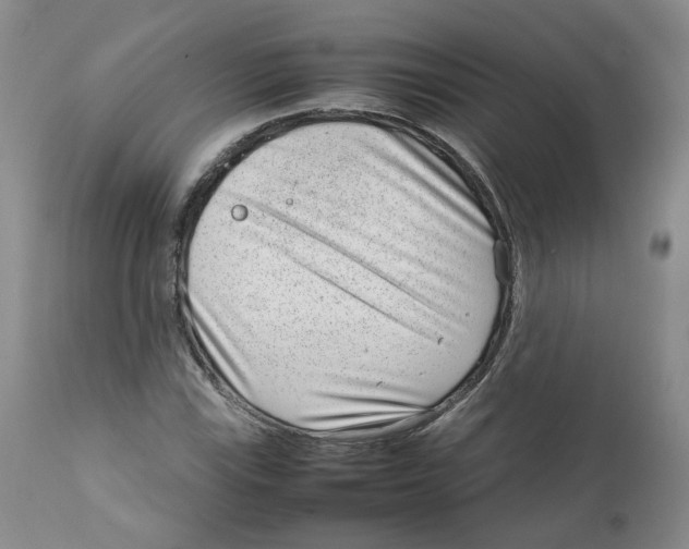 X0000111921115200908241044