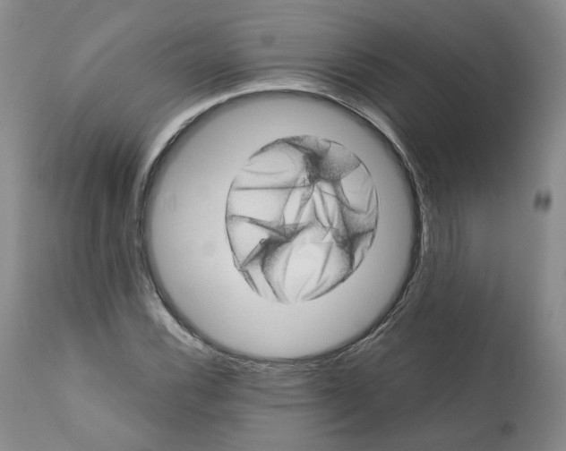 X0000111921116200908241044