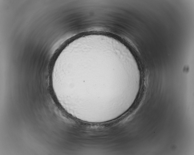 X0000111921117200908241044