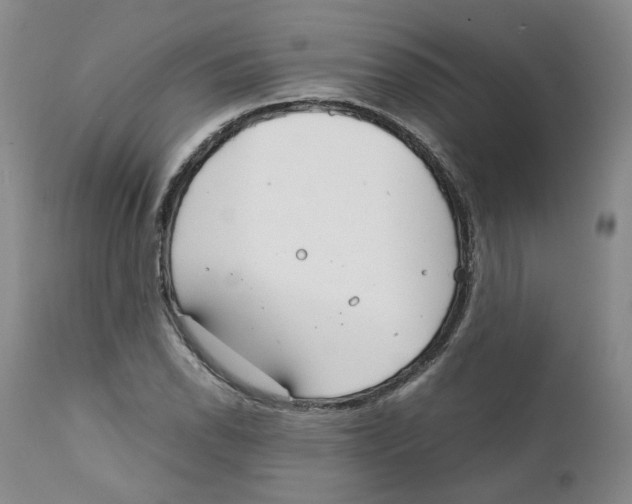 X0000111921118200908241044