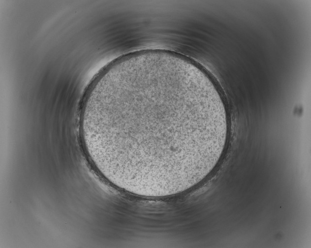 X0000111921119200908241044