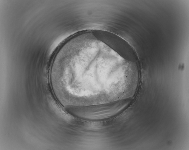 X0000111921120200908241044