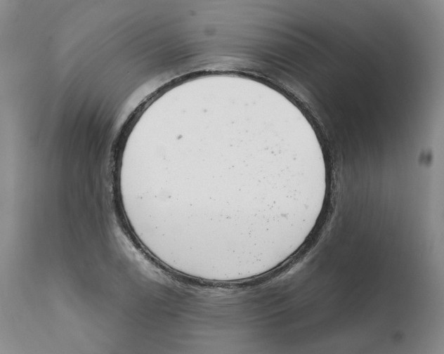 X0000111921122200908241044