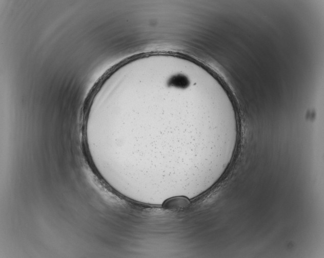 X0000111921124200908241044