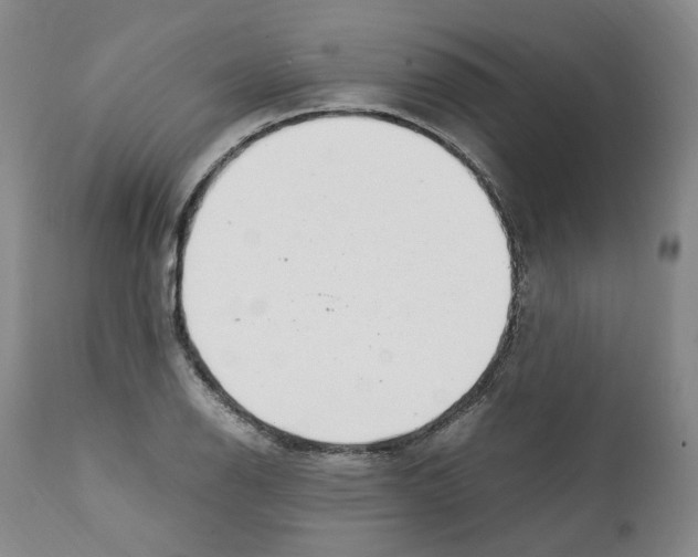 X0000111921126200908241044