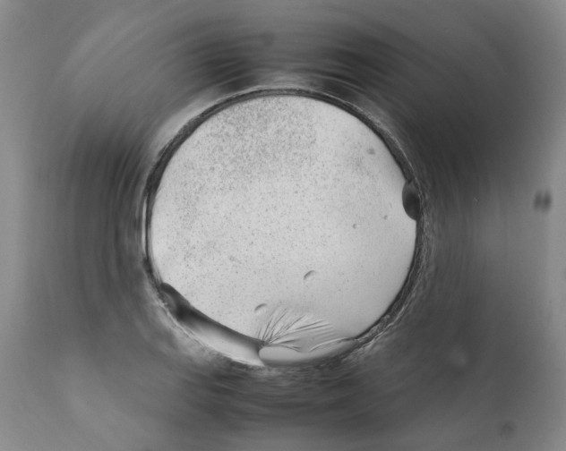 X0000111921127200908241044