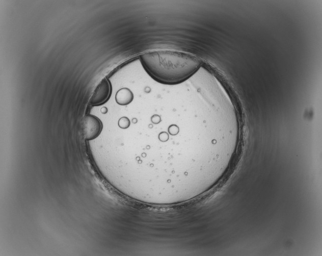 X0000111921129200908241044