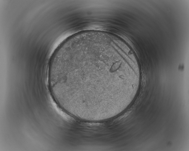 X0000111921131200908241044