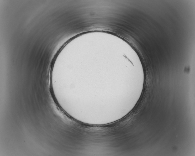 X0000111921132200908241044