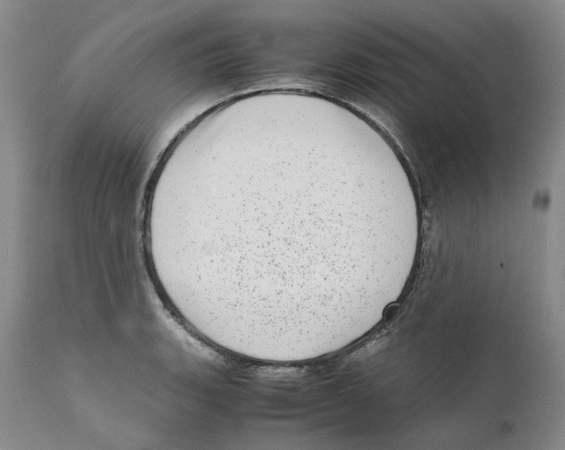 X0000111921135200908241044