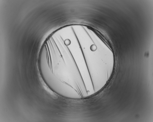 X0000111921136200908241044