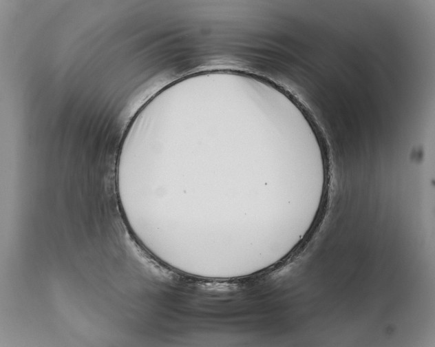 X0000111921137200908241044