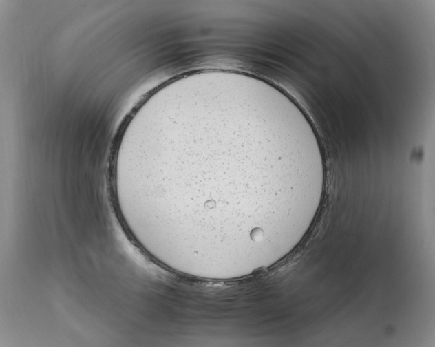 X0000111921139200908241044