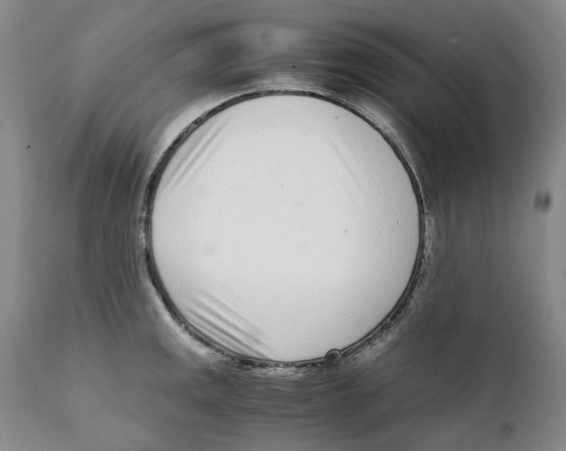 X0000111921141200908241044