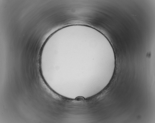 X0000111921142200908241044