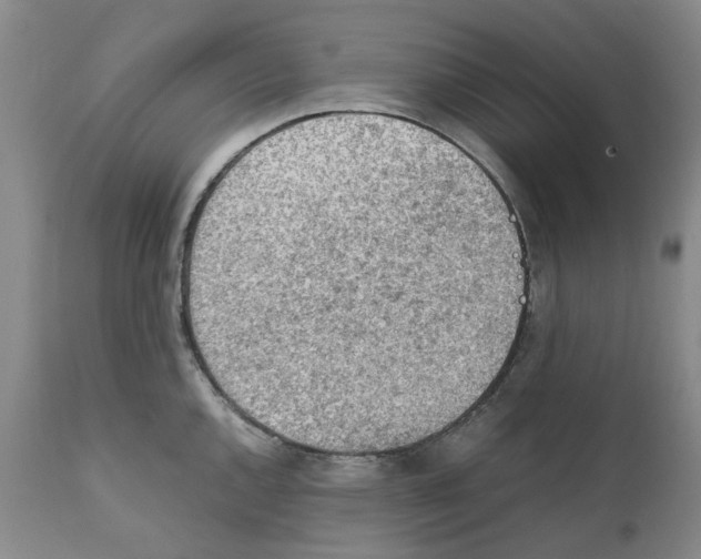 X0000111921144200908241044