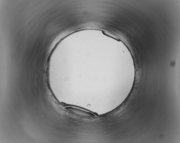 X0000111921146200908241044