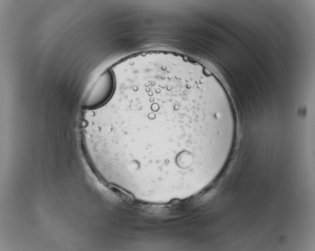 X0000111921149200908241044