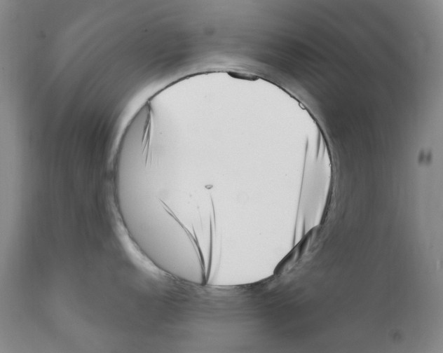 X0000111921152200908241044