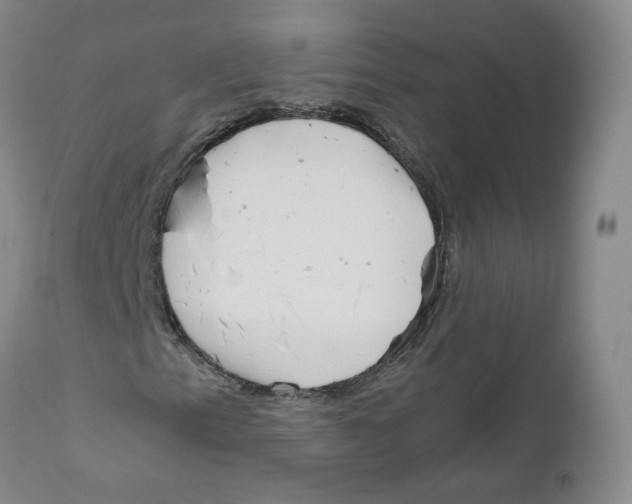 X0000111921153200908241044